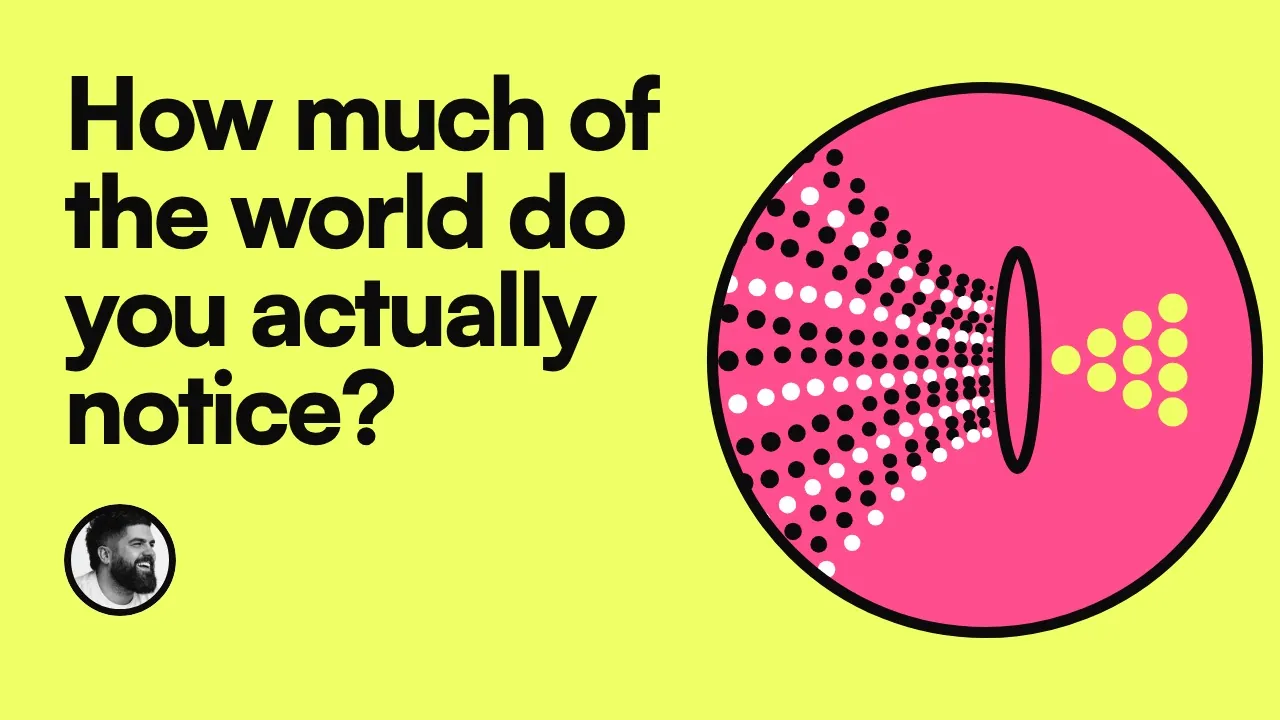 How much of the world do you actually notice?